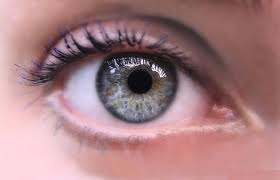  صحة و جمال العيون  - الجديد في طب العيون - طفرة كبيرة في علاج العمى بالخلايا الجذعية